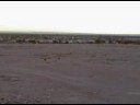 Vegas Desert