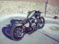 One Nightster In Vegas ( BOBBED )