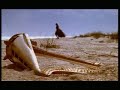 nico   vlad   pe o margine de lume  english subtitles 