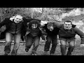 SAKKAPROD : Good bye J�r�my Cl�ment