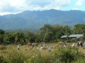 Thailand - It Happened_0001.wmv