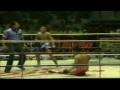 muay thai knockouts