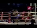 muay thai knockouts