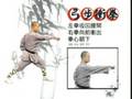 shaolin quan lian huan quan