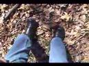 Walking in the Woods-Hunting for a Sand Hill