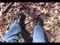 Walking-in-the-Woods