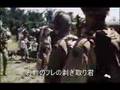 モンハン・ライアン4