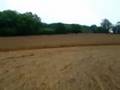 Zopa build a crop circle
