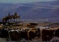 Bareback mountin'