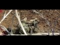 Halo Movie Trailer