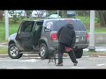Rottweiler unleashed in public