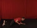 Strong inner core leads to a flatter stomach