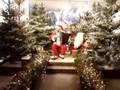 Santa Accordion