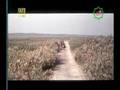 Islamic Movie --- Imam Ali (a.s.) Part 093