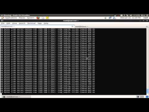 how to flush dns in linux
