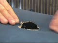 57 Rodent Problems