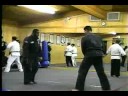 Wheeler Kenpo Clips