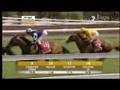 2007 Emirates Melbourne Cup