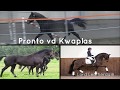 Pronto vd Kwaplas 2,5 jaar