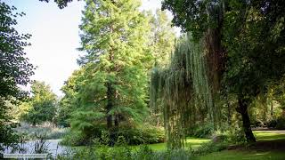 Großer Tiergarten / Green Berlin