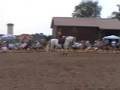 Deschenhof-Feria 2006 Klassische Dressur im Damensattel