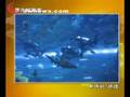 北美国际新闻20081031-2