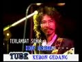 terlambat koes poes lagu kenangan terlambat koes poes lagu kenangan