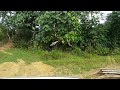 20180428 081440