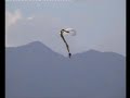 time-to-flyincidente-di-volo-del-nostro-presidente.html
