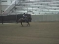 College Station SHOT Show Reining