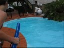 joe and jords guide to surfin da pool