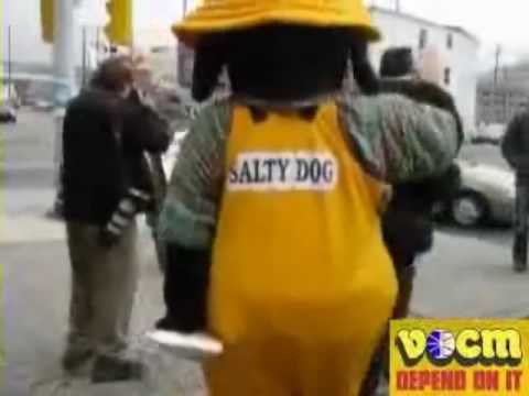 PETA protester gets OWNED by a pie!