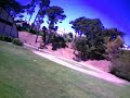 T-Rex 500 RC Helicopter