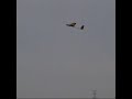 Bug