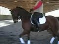 Dressage Training FEI Canter Work