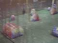 videos de Chris rolls the Pod Snatchers
