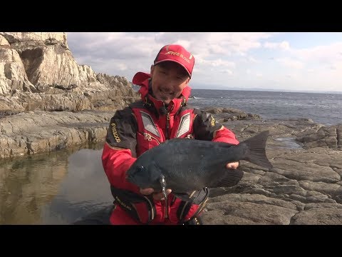 動画