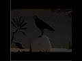 Luna-Moonspell Luna-Moonspell