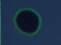 ufo flying Disk Enhancement
