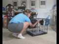 Crate Games Part 1: Zelda 13 wks