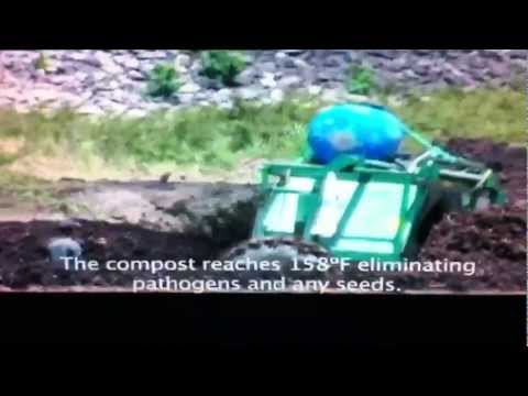 how to fertilize hyacinth