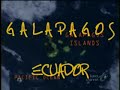 galapagos las encantadas del ecuador