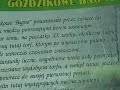 GO?DZIKOWE BAGNO