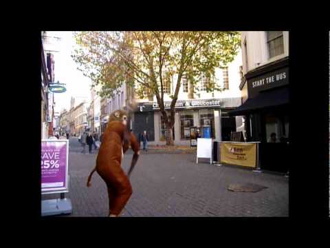 Flowtoys Busking Video Competition   image