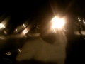 Click here to watch this video Lonte dancing