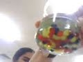 Dyed Yeast Alginate Beads