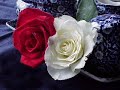 asik ali sultan  k�st�m sana bacim