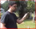 Shocking Ghost Viode