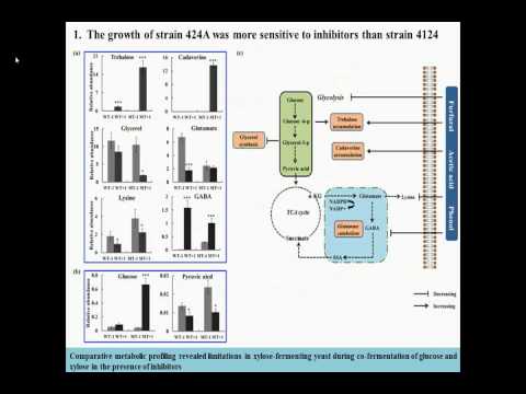 how to perform d-xylose test