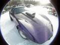 merrill ice drags
